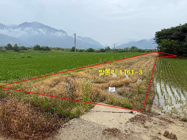 2005514035001