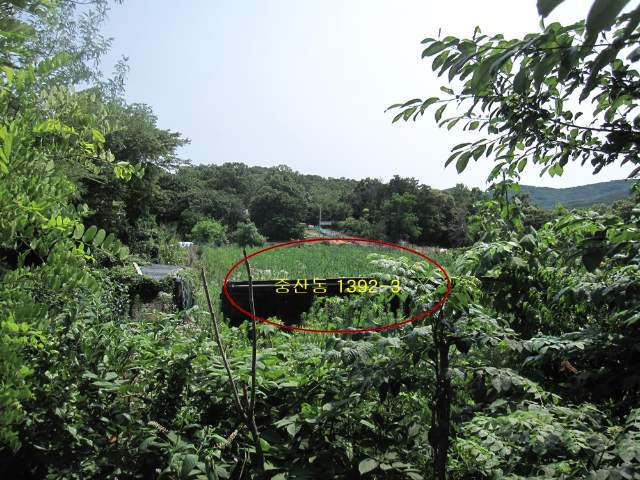 2008012976926