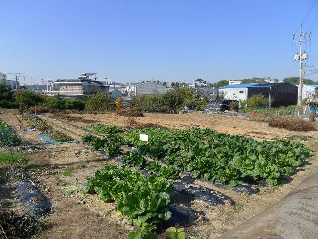 2009030498806