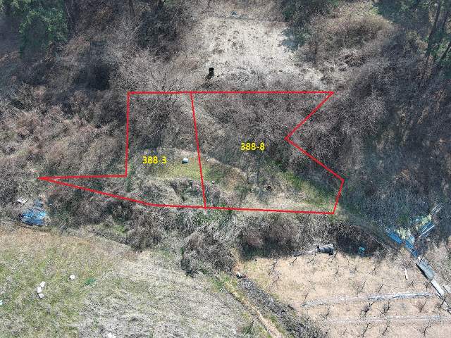2010020440397