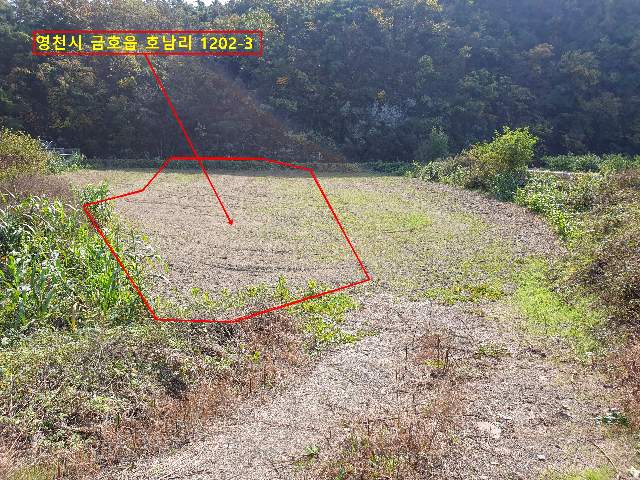 2011083062636