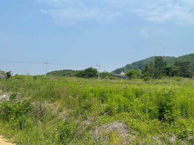 2011111578443