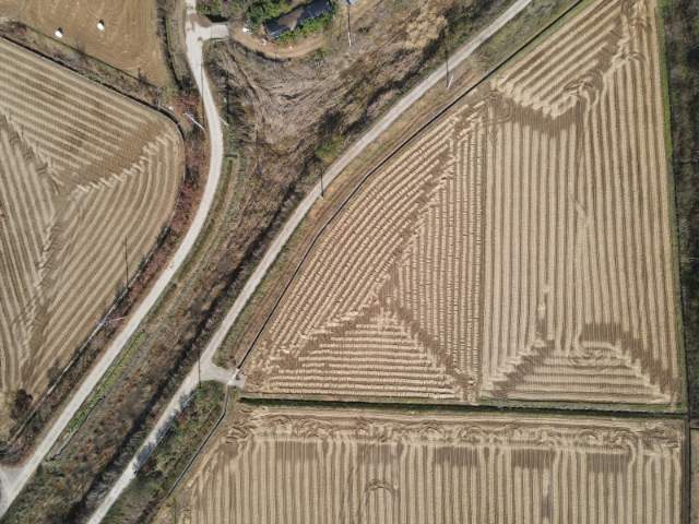2012042443335