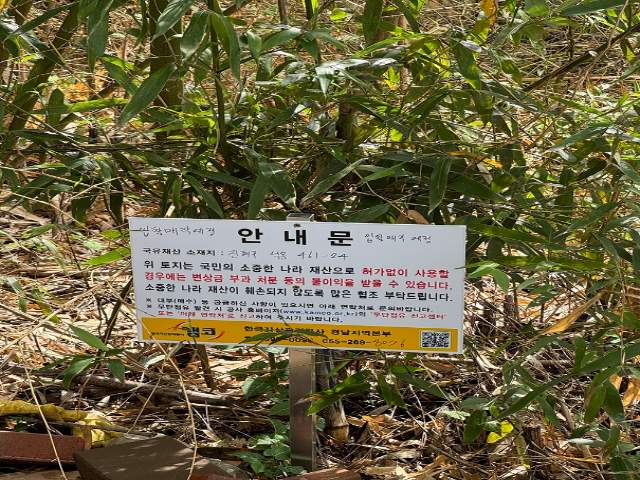 2012042645991