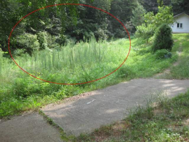 2012052970983