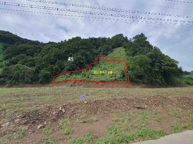2012061484456