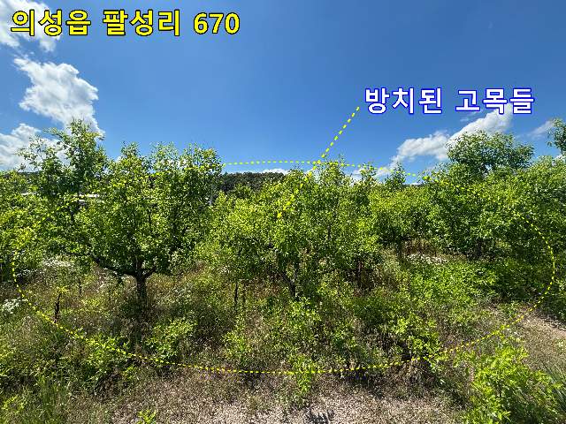 2012090648748
