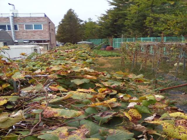 20121113002281
