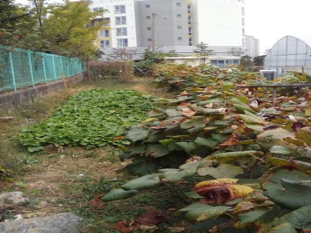 20121113002281