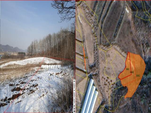 2012120693295