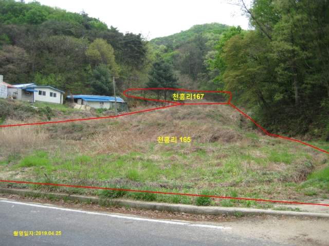 2013032056565