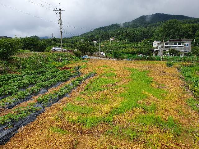 2013041169454