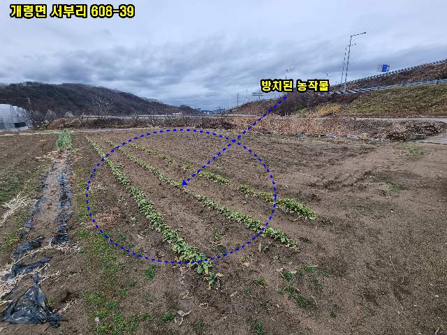 2013042374064