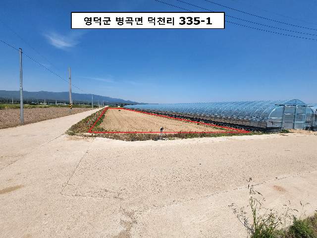 2013050379767