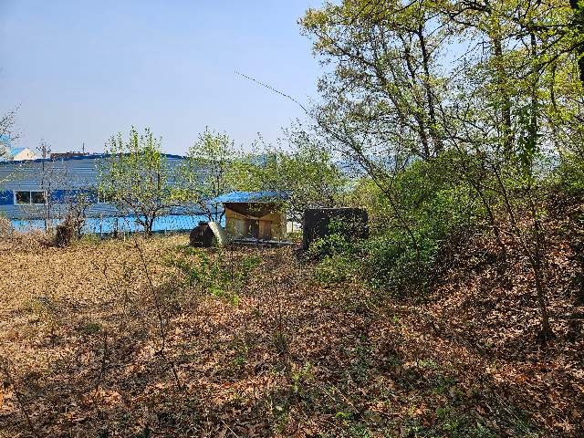 2013050784351