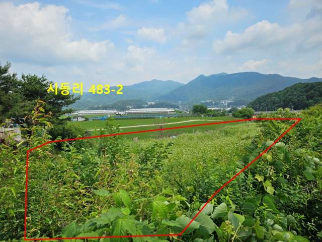 2013052204445
