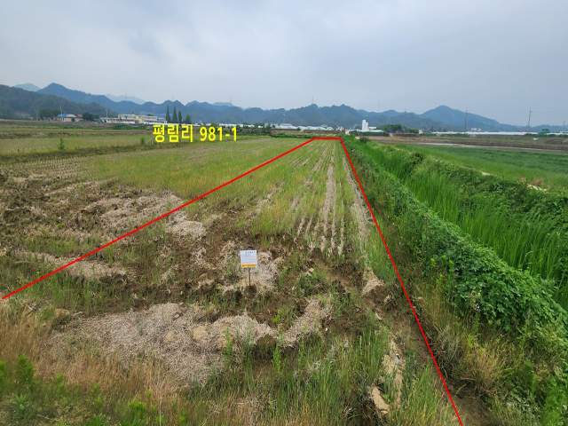 2013061418267