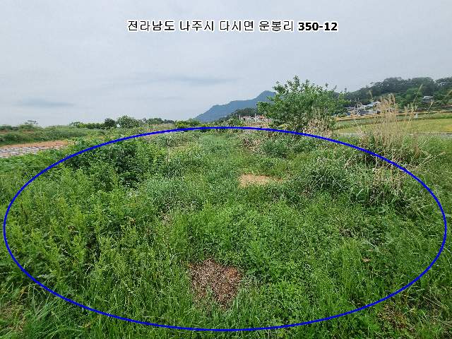2013061920782