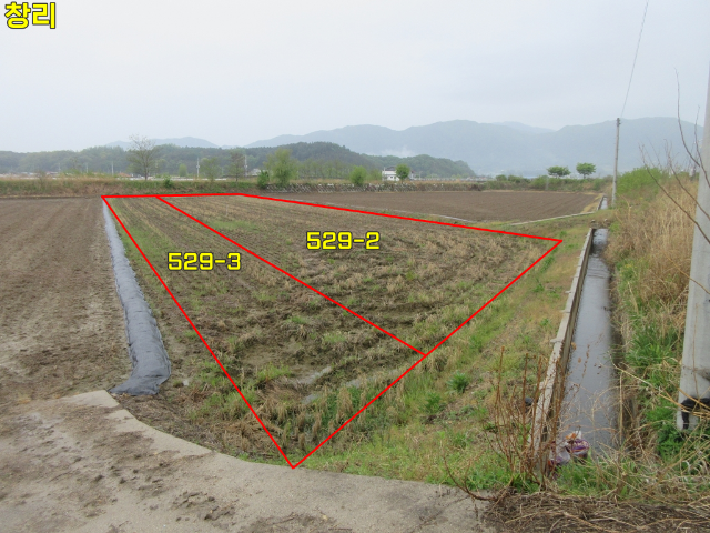 2013062524939