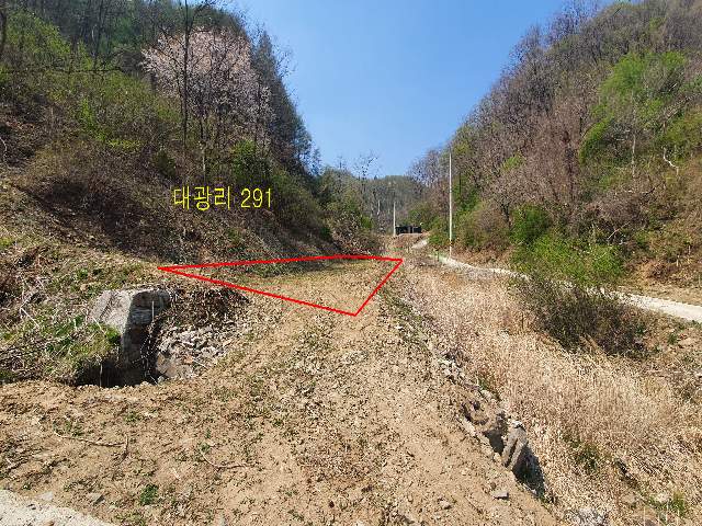 2013071947554
