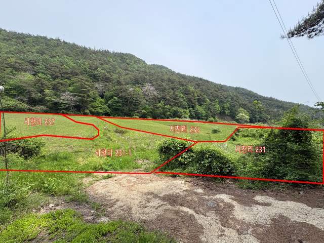 2013073156379