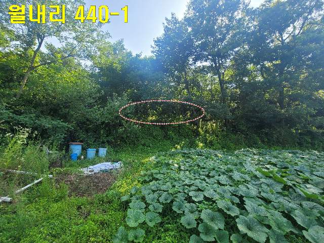 2013092790873