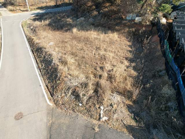 2013101096611