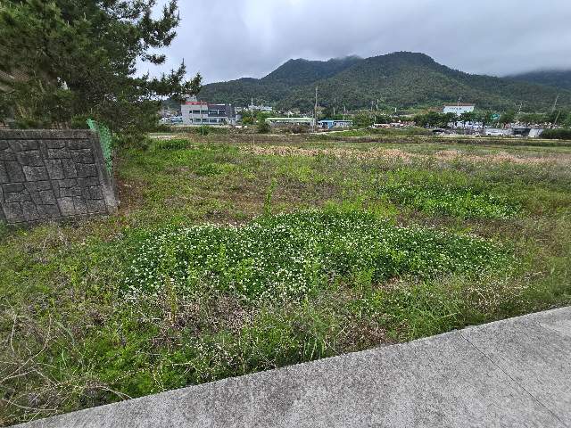 2013101197502