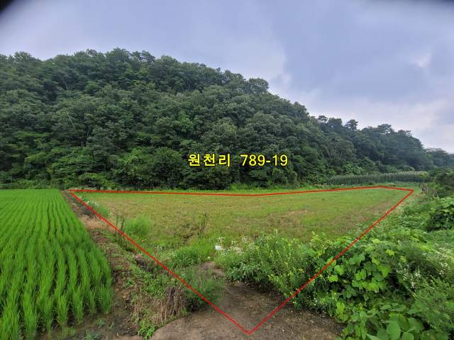 2013111912680