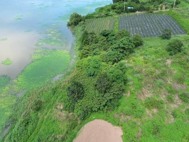 경매마당 공매정보 2014-010626-886의 시세, 권리분석, 상세정보