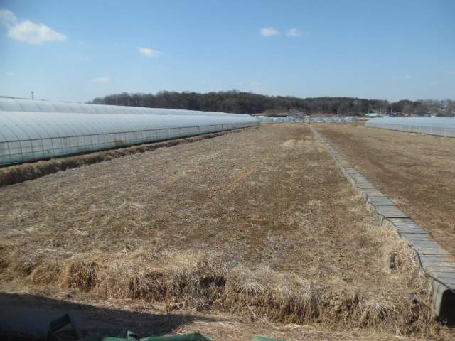 2014030567415