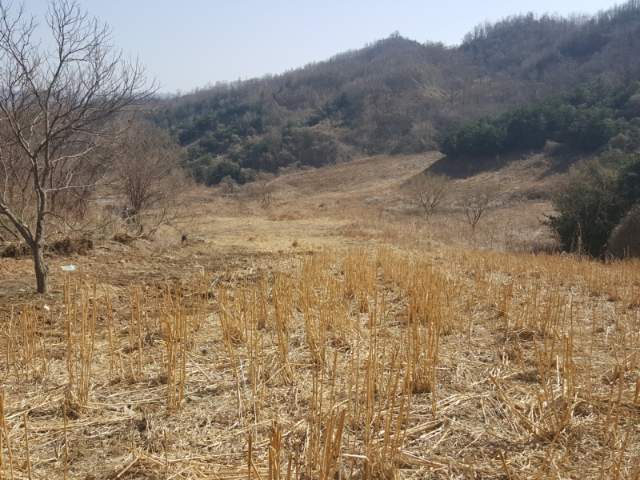 2015042117231