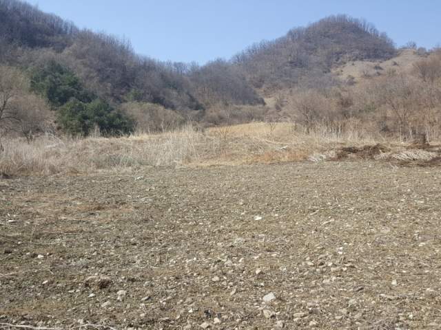 2015042117231