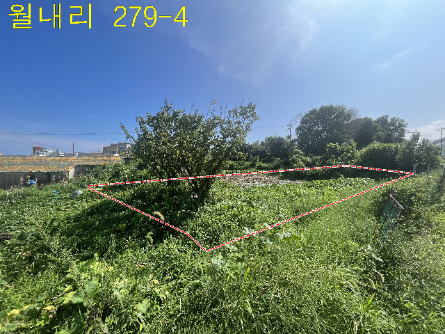 2015082533352
