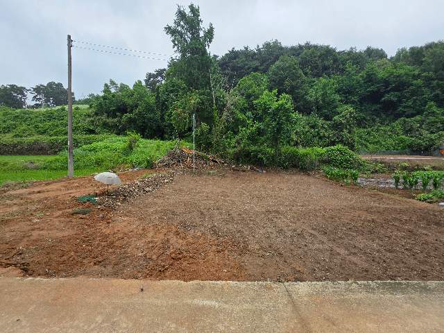 2016062985125