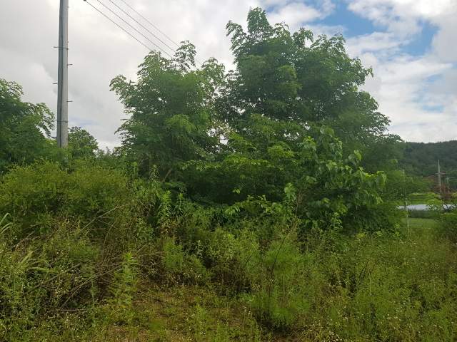 201708086001