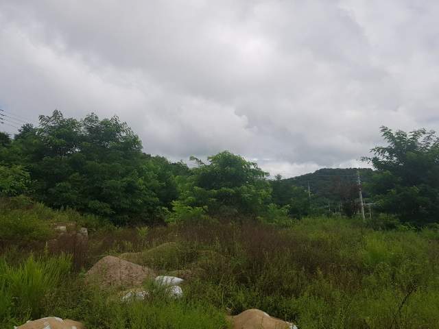 201708086001