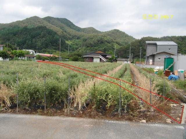 2017091355942