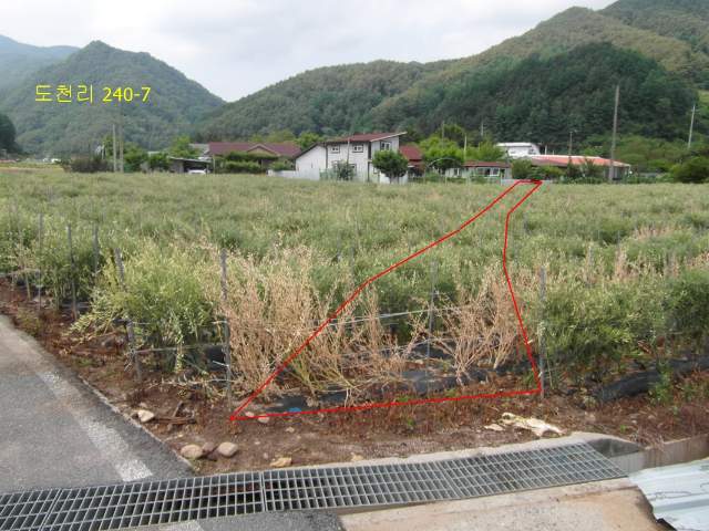 2017091355942