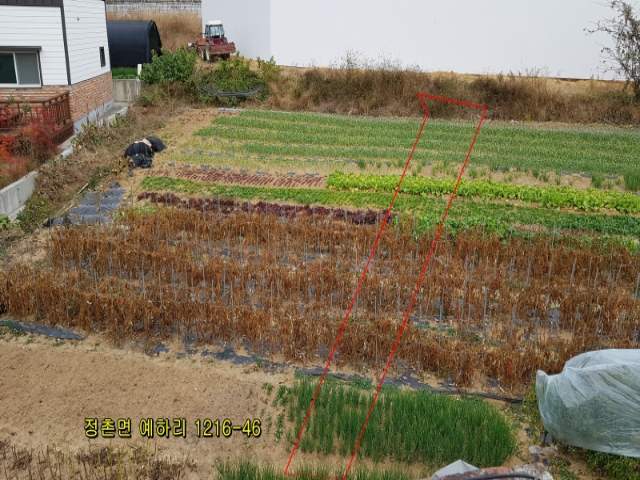 2017111765102