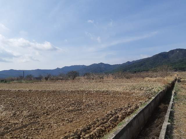 20190500067784