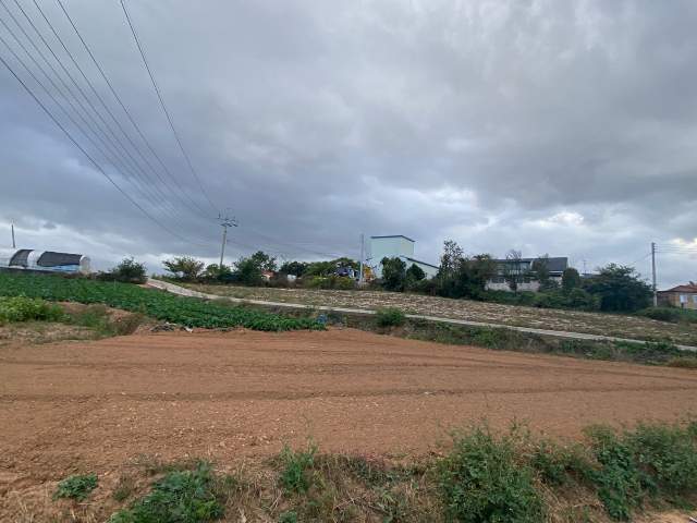 201905984118