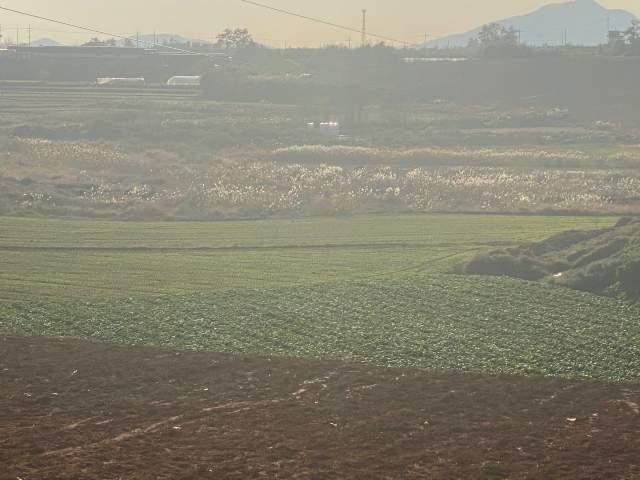 201905984152