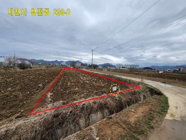 2019062733224
