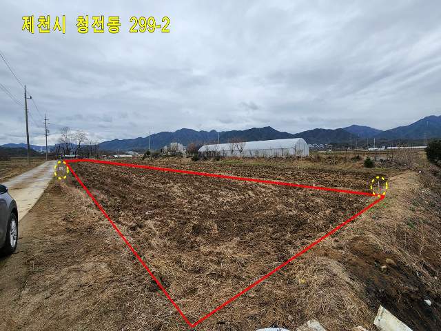 2019062733224