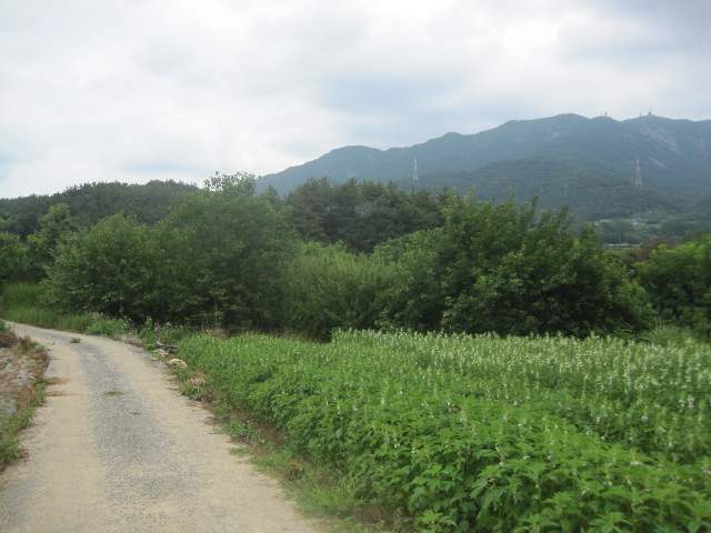 201908225001