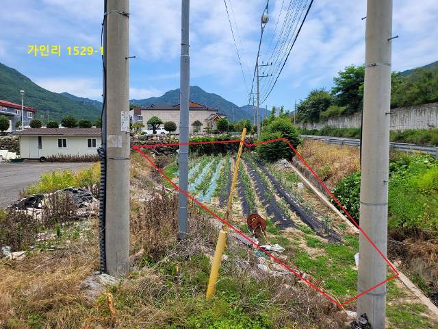 2019123060956