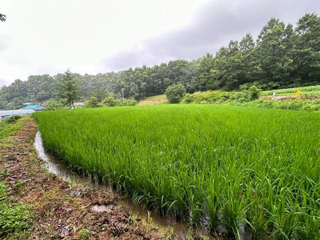 201916204005