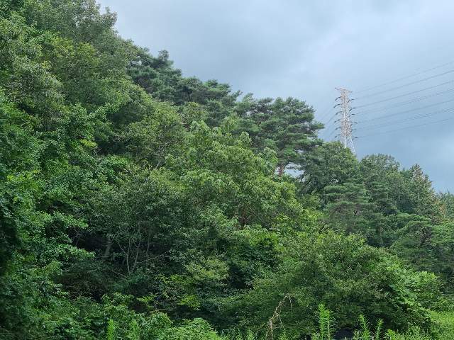 201918086002