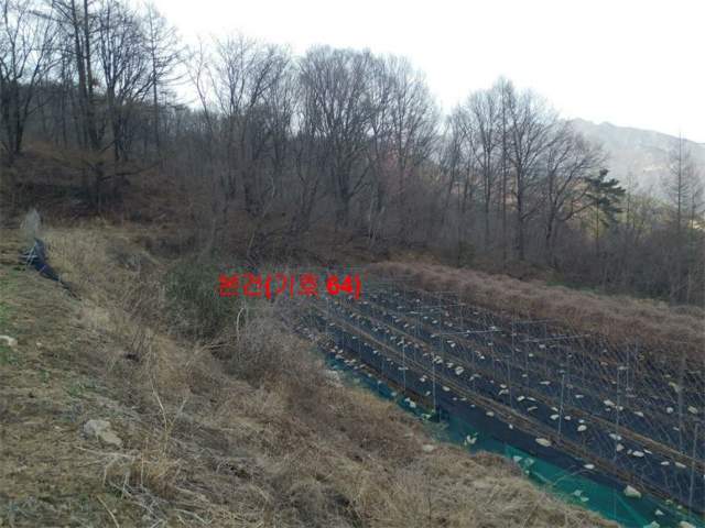 202001134054